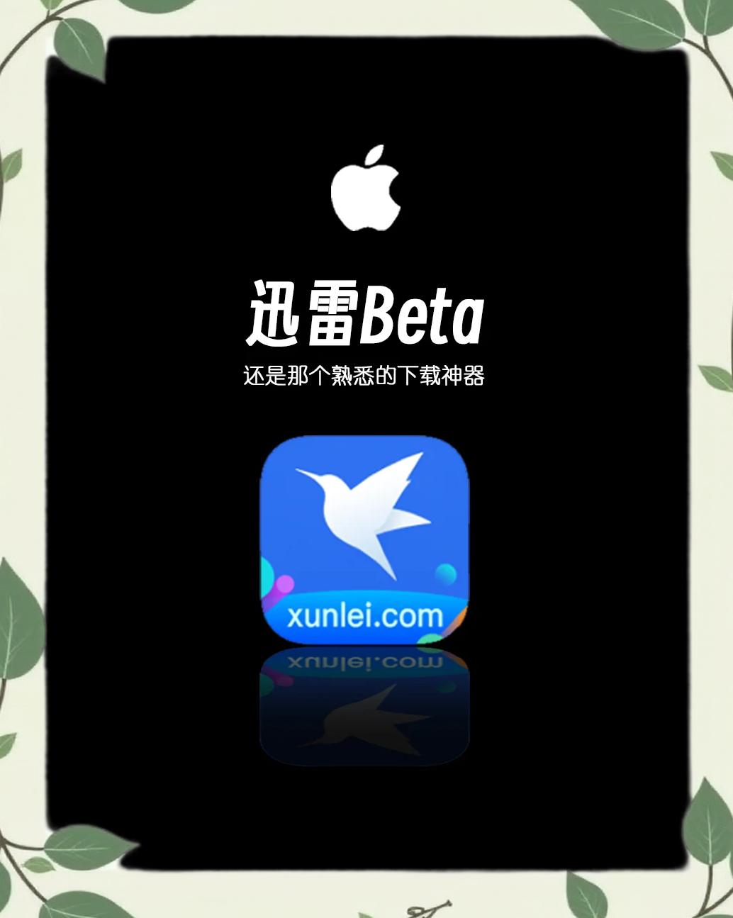 迅雷Beta内测版体验：极速下载新功能抢先看