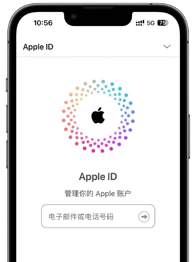 苹果手机Apple ID年龄查看方法详解  